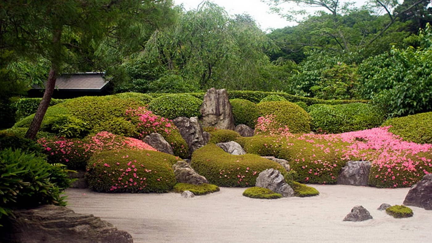 Блог сада. Холмистый сад Япония. Рододендрон в японском саду. Минималистичный японский сад. Зорина а г сады Японии.
