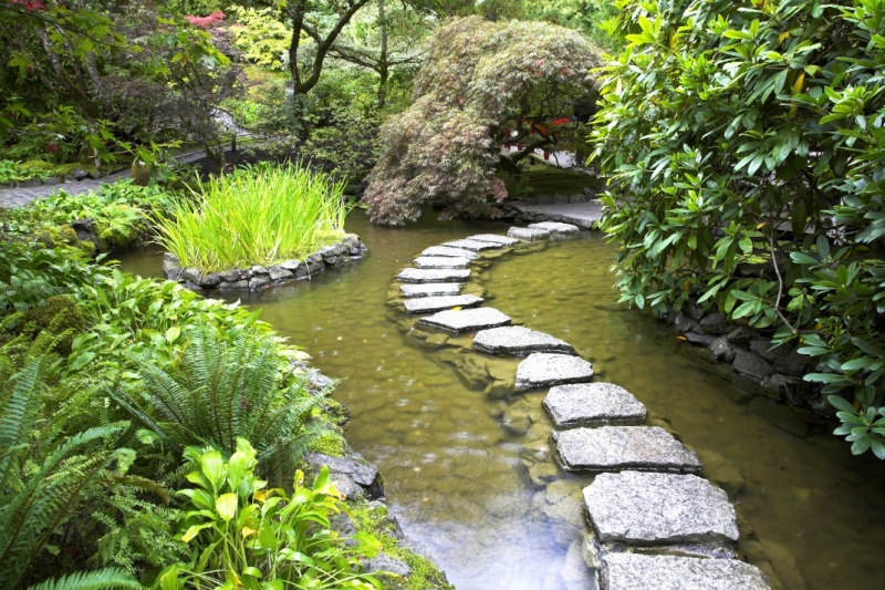 вода в японском саду