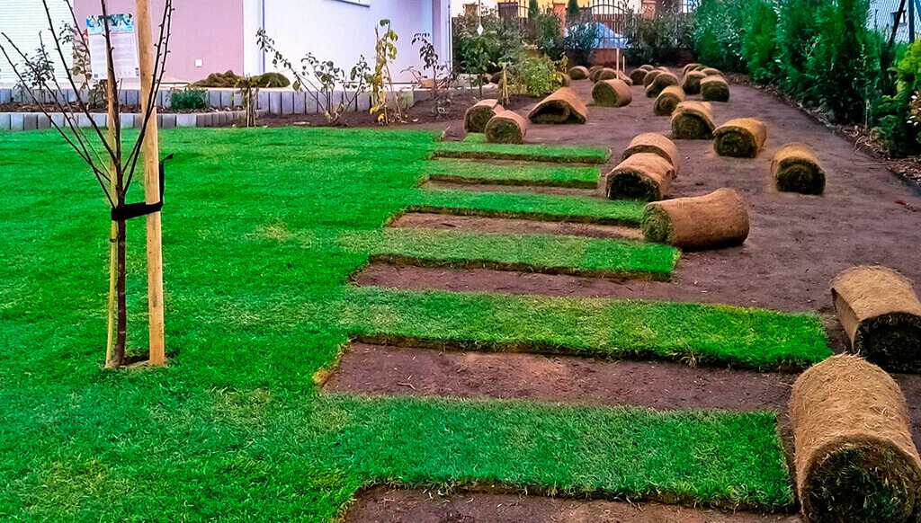 Устройство газона