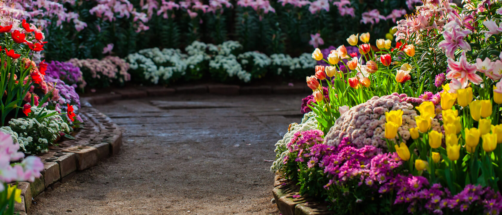 Устройство цветников