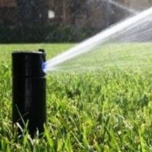 Автоматический полив