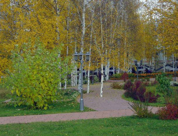 Городской парк 171