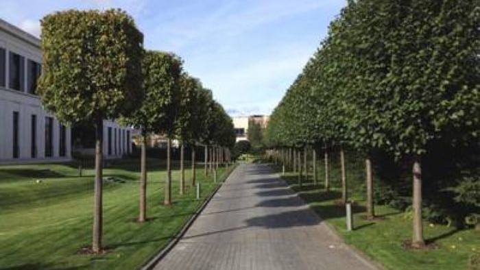 Modern - Сад в стиле модерн