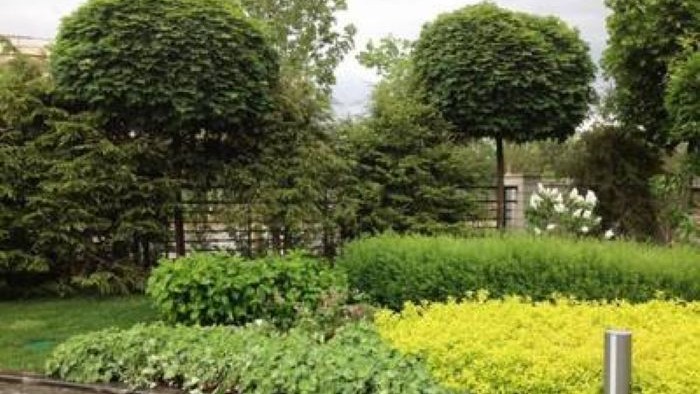 Modern - Сад в стиле модерн