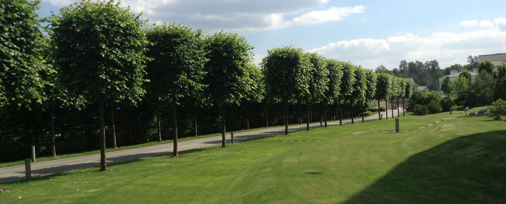 Сад в стиле модерн