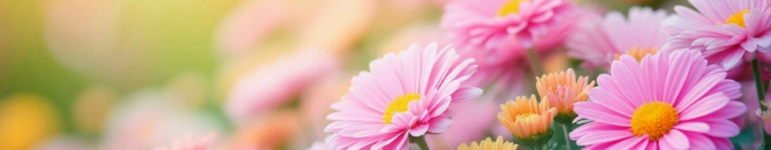 Хотите скидку?