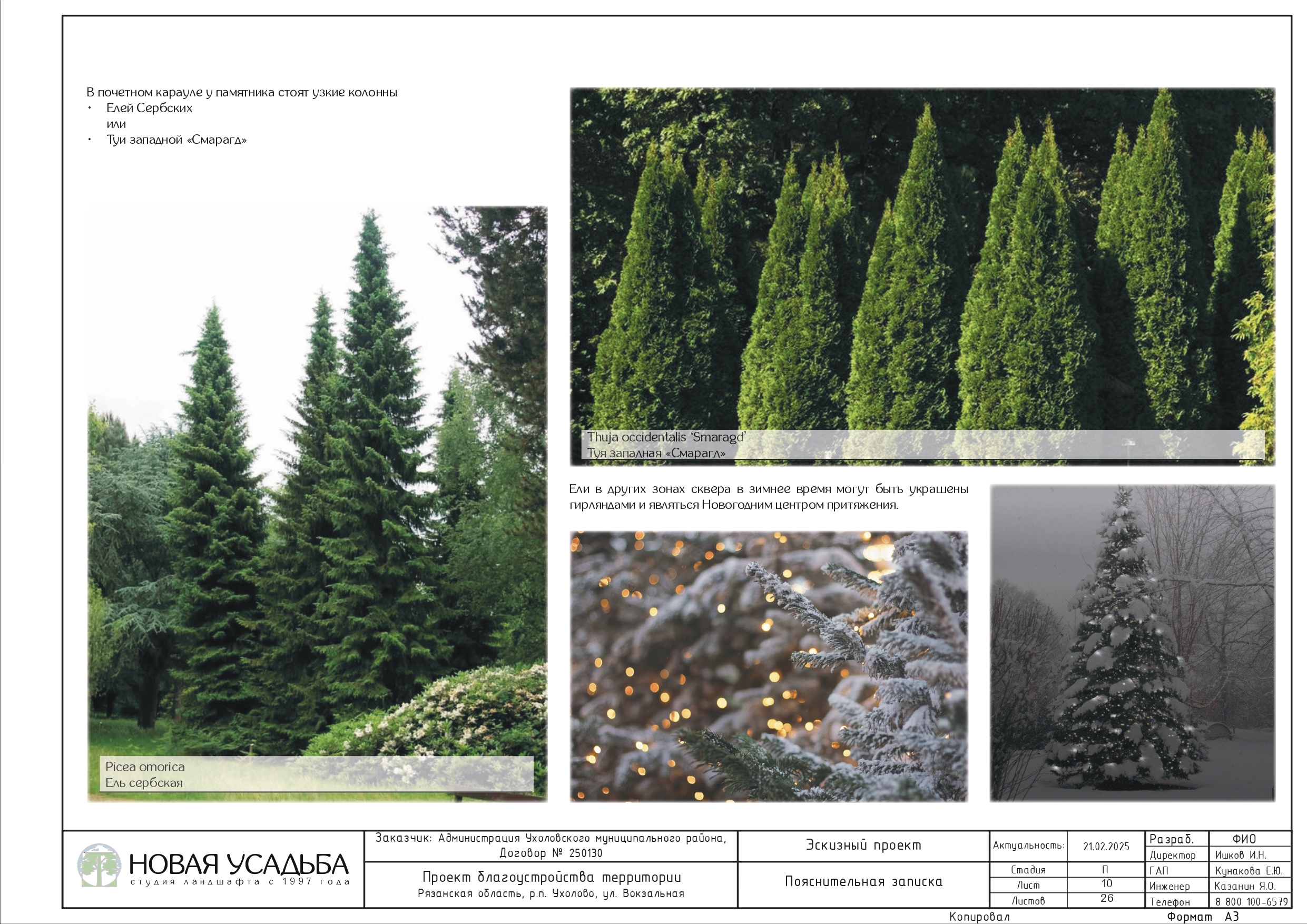 проект сквера 0010