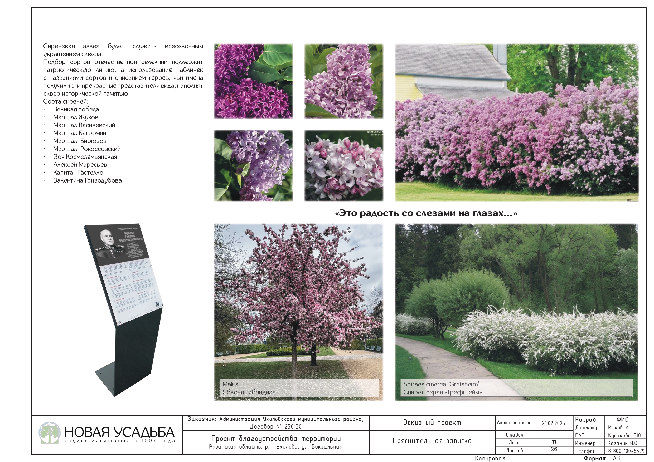 проект сквера 0011