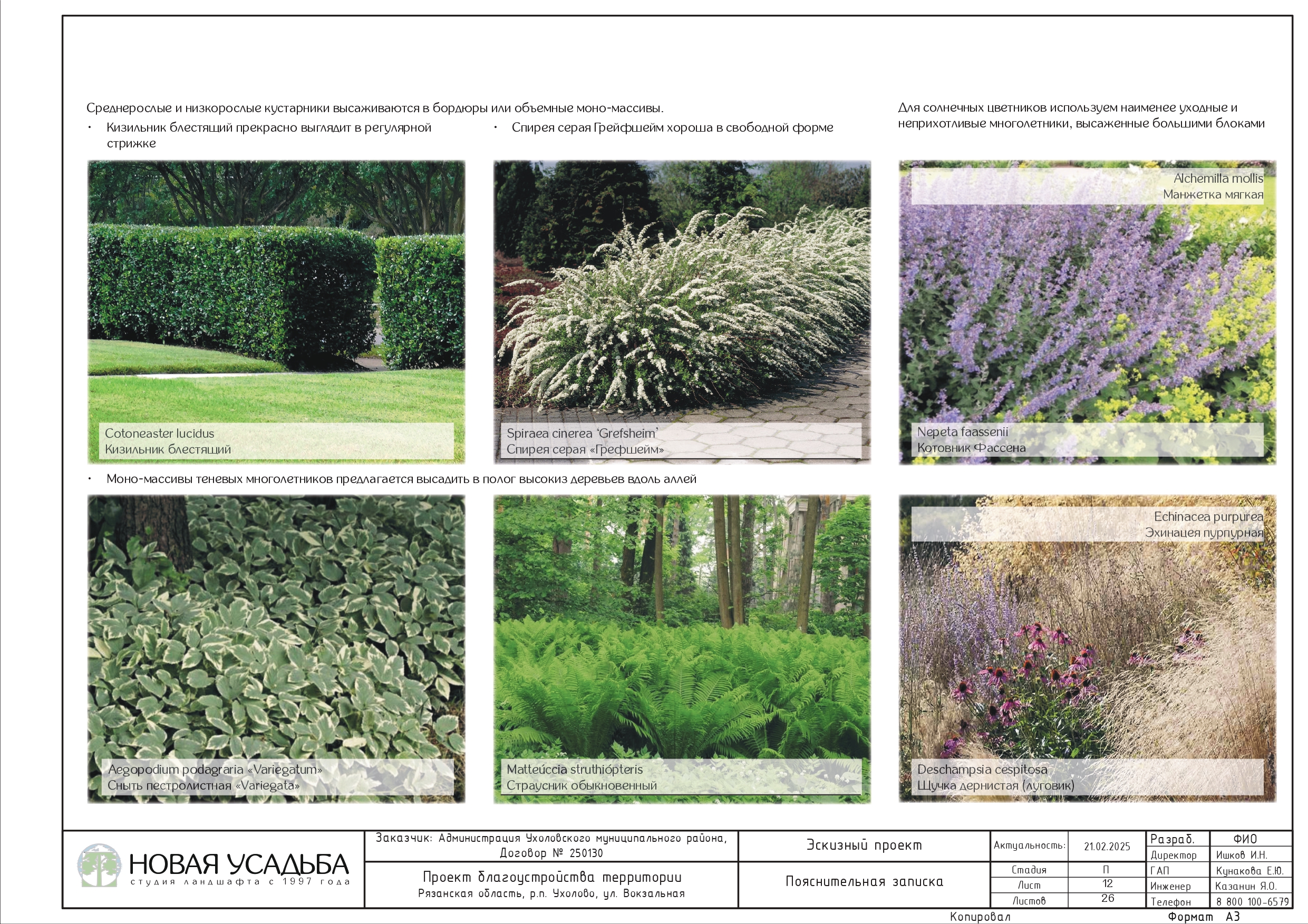 проект сквера 0012