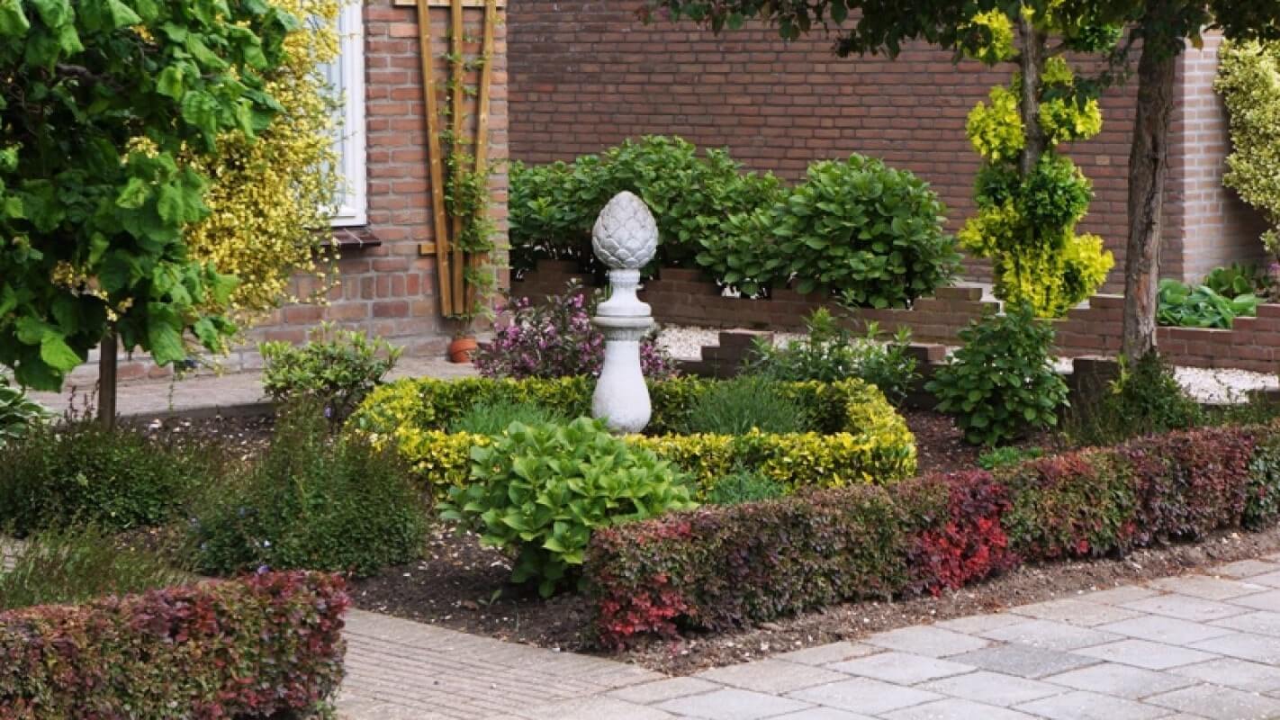 тщательный подбор медленнорастущих растений - залог успеха для миниатюрных садиков