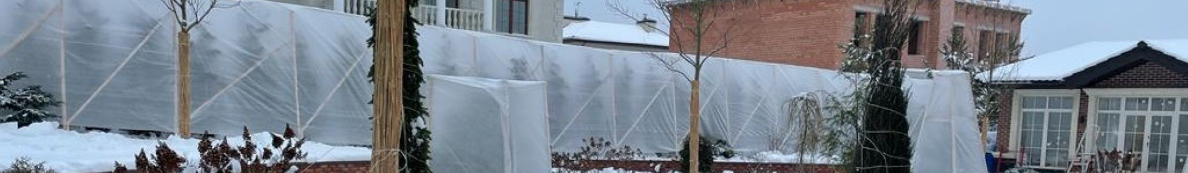 Укрытие хвойных растений на зимний период