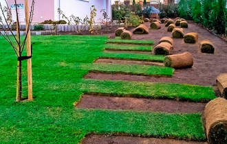 Укладка рулонного газона