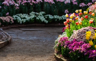 Устройство цветников