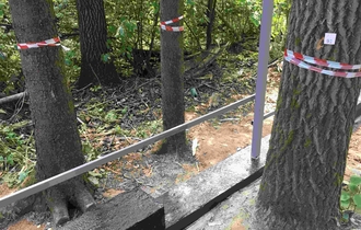 Ландшафтная таксация насаждений