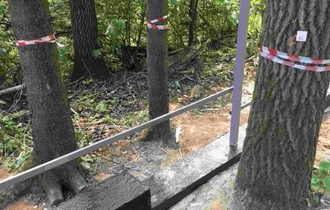 Ландшафтная таксация насаждений